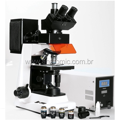 Microscópio Trinocular com Fluorescência Aumento de 40x até 1600x Objetiva Planacromática e Iluminação Epscópica 100W HBO/Diascópica 20W Halogênio